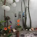 Pousada Sao Jose